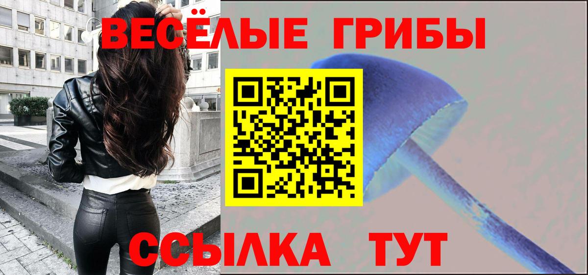 Мончегорск  Галлюциногенные грибы Cubensis  Галлюциногенные грибы Psilocybine cubensis  Вход с VPN 